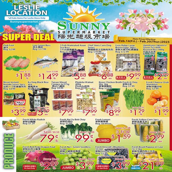 Sunny Supermarket Leslie Flyer February To