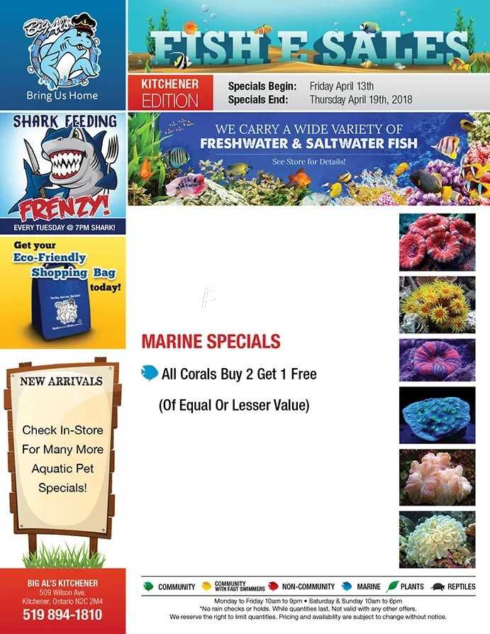 big als flyers tsc store flyer london ontario