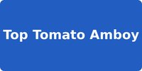 Top Tomato Amboy