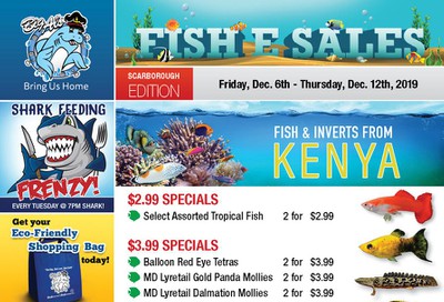 Big Al's (Scarborough) Weekly Specials December 6 to 12