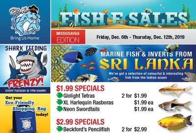 Big Al's (Mississauga) Weekly Specials December 6 to 12