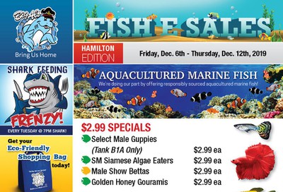 Big Al's (Hamilton) Weekly Specials December 6 to 12