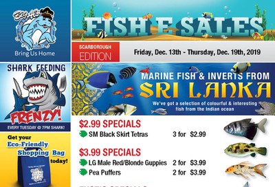 Big Al's (Scarborough) Weekly Specials December 13 to 19