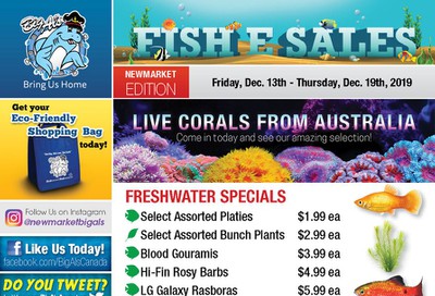 Big Al's (Newmarket) Weekly Specials December 13 to 19