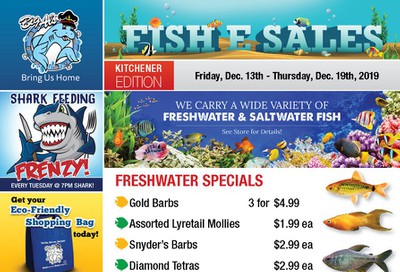 Big Al's (Kitchener) Weekly Specials December 13 to 19