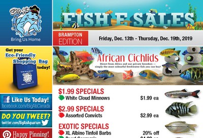 Big Al's (Brampton) Weekly Specials December 13 to 19