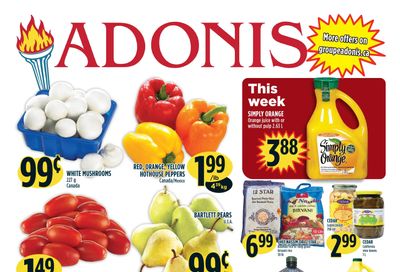 Adonis (ON) Flyer October 22 to 28