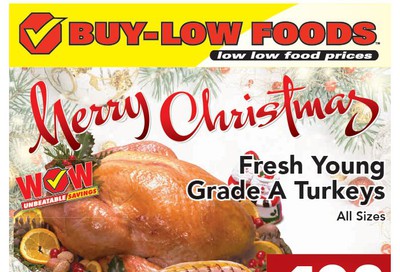 Buy-Low Foods Flyer December 15 to 28
