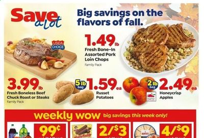 Save a Lot Weekly Ad Flyer October 21 to October 27