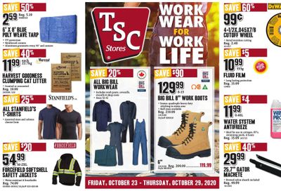 TSC Stores Flyer October 23 to 29