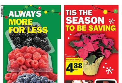 Food Basics (Hamilton Region) Flyer December 19 to 24