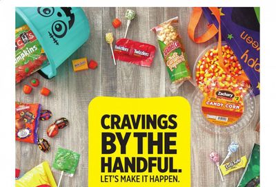 Dollar General Weekly Ad Flyer October 23 to October 31