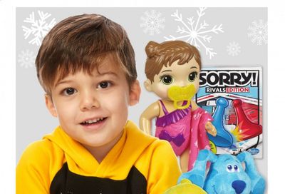 Dollar General Weekly Ad Flyer October 22 to December 24