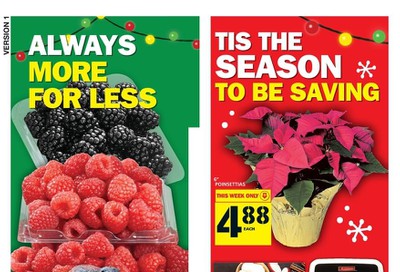 Food Basics (GTA, Kitchener and London Area) Flyer December 19 to 25