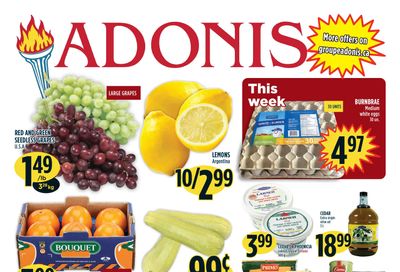 Adonis (ON) Flyer October 29 to November 4