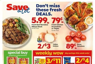 Save a Lot Weekly Ad Flyer October 28 to November 3