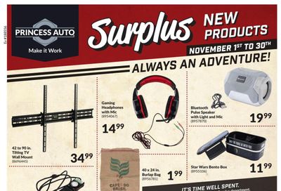 Princess Auto Surplus New Products Flyer November 1 to 30