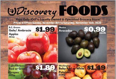 Discovery Foods Flyer November 8 to 14