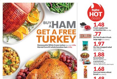 Hy-Vee (IA, IL, KS, MN, MO, NE, SD, WI) Weekly Ad Flyer November 11 to November 17