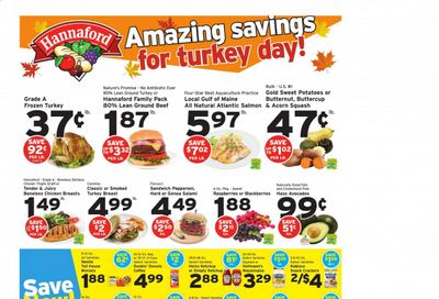 Hannaford (VT) Weekly Ad Flyer November 15 to November 21