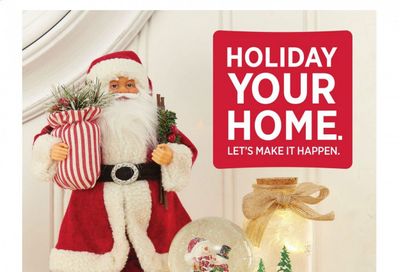 Dollar General Weekly Ad Flyer November 11 to December 24