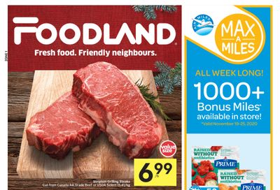 Foodland (ON) Flyer November 19 to 25