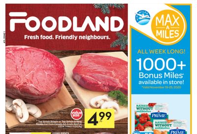 Foodland (Atlantic) Flyer November 19 to 25