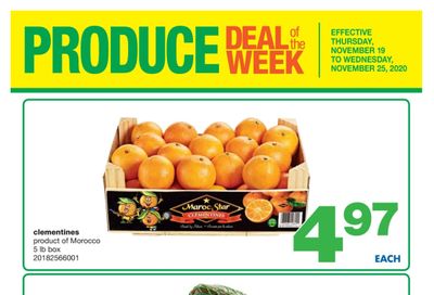 Wholesale Club (ON) Produce Deal of the Week Flyer November 19 to 25