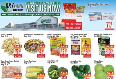 Skyland Food Mart Flyer November 20 to 26