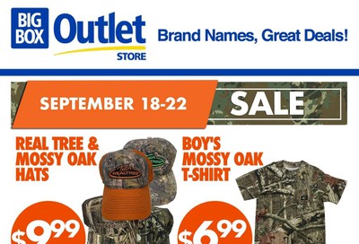 Big Box Outlet Store Flyer September 18 to 22
