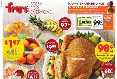 Fry’s (AZ) Weekly Ad Flyer November 18 to November 26