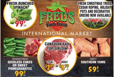 Fred's Farm Fresh Flyer November 18 to 24