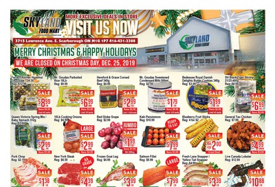 Skyland Food Mart Flyer December 20 to 26