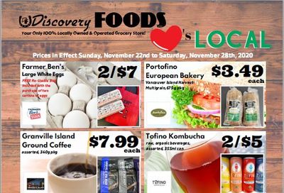 Discovery Foods Flyer November 22 to 28