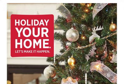 Dollar General Weekly Ad Flyer November 11 to December 24
