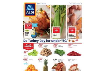 ALDI (NY) Weekly Ad Flyer November 22 to November 28