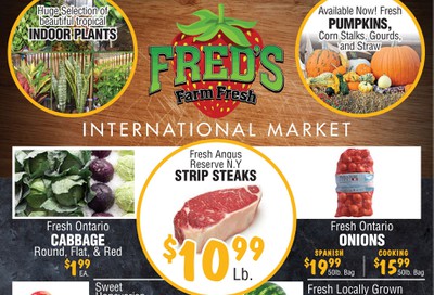 Fred's Farm Fresh Flyer September 18 to 24