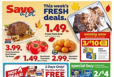 Save a Lot Weekly Ad Flyer November 27 to December 1