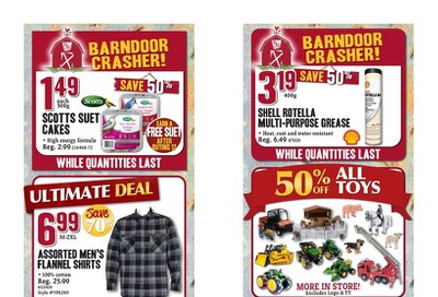 TSC Stores Boxing Week Flyer December 26 to January 2
