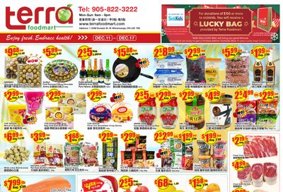 Terra Foodmart Flyer December 11 to 17