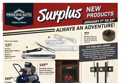 Princess Auto New Surplus Items Flyer January 1 to 31