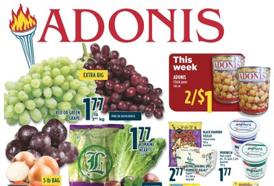 Adonis (ON) Flyer January 2 to 8