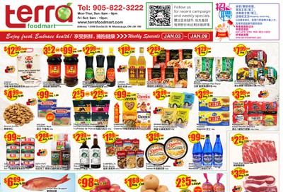 Terra Foodmart Flyer January 3 to 9