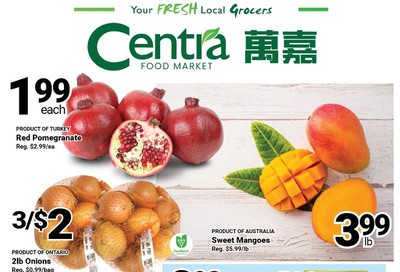 Centra Foods (North York) Flyer January 3 to 9
