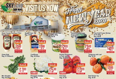 Skyland Food Mart Flyer January 3 to 9