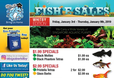 Big Al's (Whitby) Weekly Specials January 3 to 9