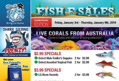 Big Al's (Scarborough) Weekly Specials January 3 to 9