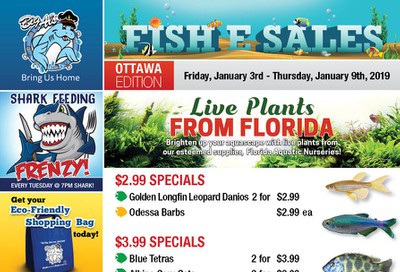 Big Al's (Ottawa East) Weekly Specials January 3 to 9