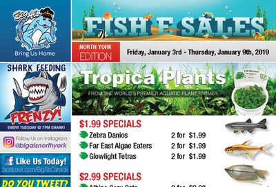 Big Al's (North York) Weekly Specials January 3 to 9