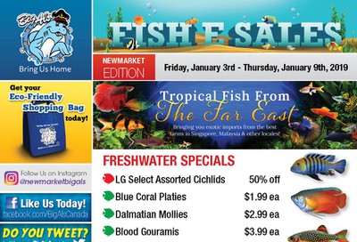 Big Al's (Newmarket) Weekly Specials January 3 to 9